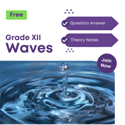 Grade XII Waves